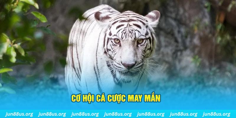 168vn hết slot la gì