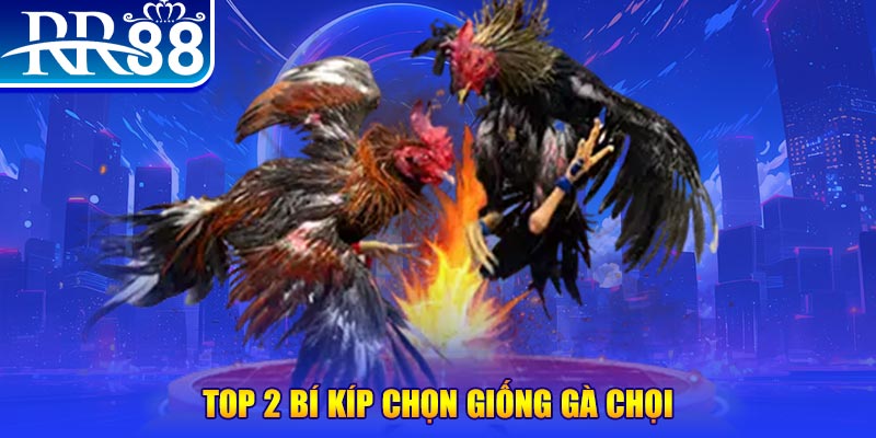 168vn đăng nhập roulette dễ thắng