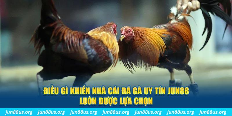 168vn qq88 nổ hũ bắn cá