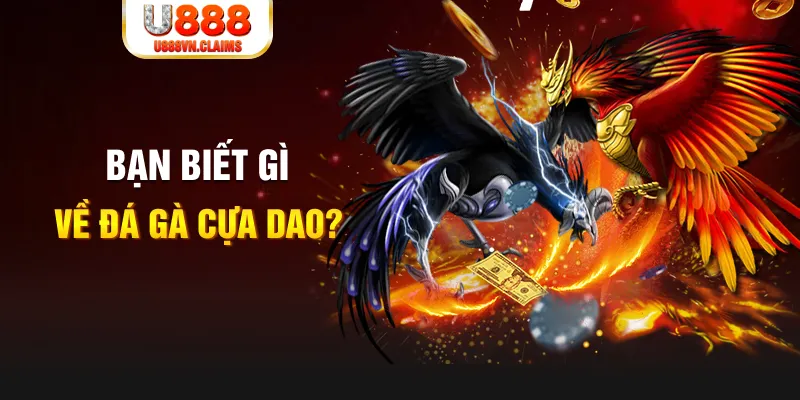 168vn xổ số kiến thiết