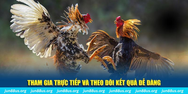168vn đá gà trực tiếp bình luận viên