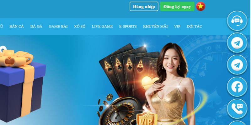168vn slot là gì dịch