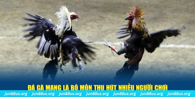 168vn xổ số cà mau