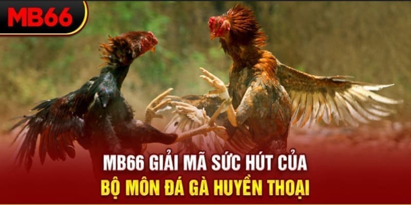 168vn Phi Đội Ưu Tú