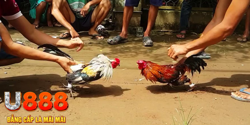 168vn đăng nhập mậu binh rút tiền nhanh
