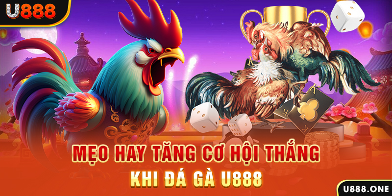 168vn trực tiếp gà chọi c1