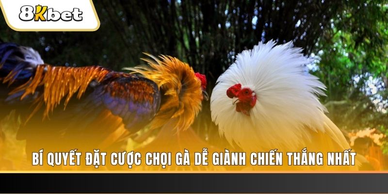 168vn Tài Xỉu 2