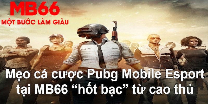 168vn gà chọi mộc hóa