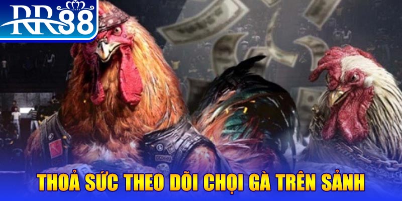 168vn đá gà 88.com