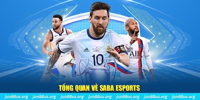 168vn gà chọi c1 tv trực tiếp hôm nay
